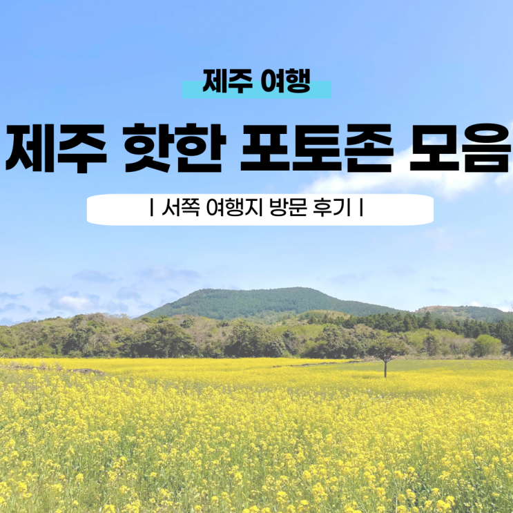  제주도 서쪽 핫한 포토존 장소 모음zip