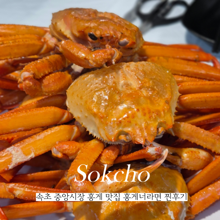  속초 중앙시장 홍게 맛집 동명항 홍게너라면 무한리필 후기