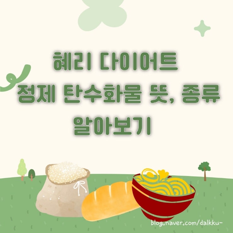  혜리 다이어트 정제 탄수화물 뜻 종류 알아보기