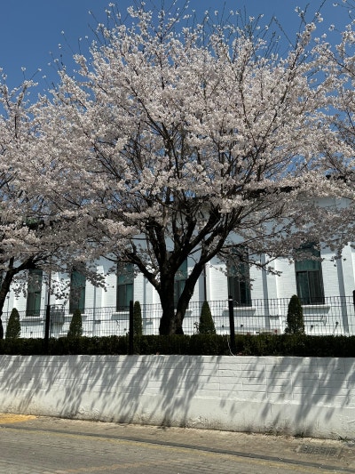 사진 8