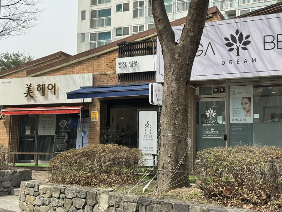 빵집 밀꽃 사진 1