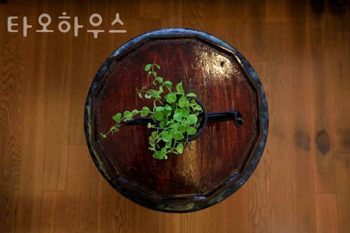 타오하우스 사진 5
