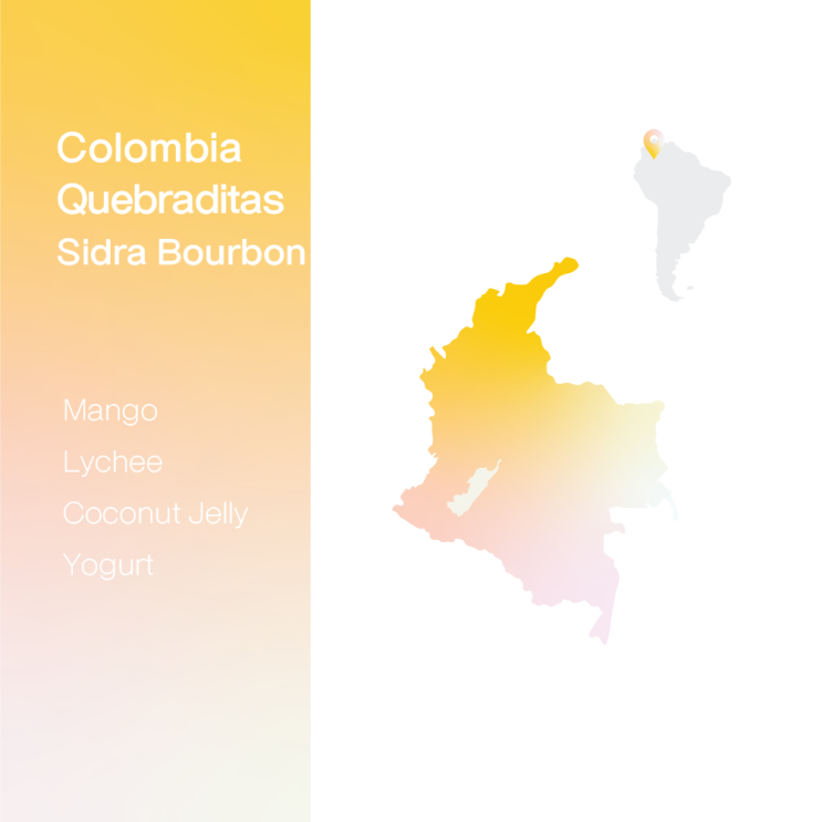  [생두 & 로스팅 리뷰] - 콜롬비아 케브라디타스 시드라 버번 이스트 워시드 - Colombia Quebraditas Sidra Bourbon Yeast Washed