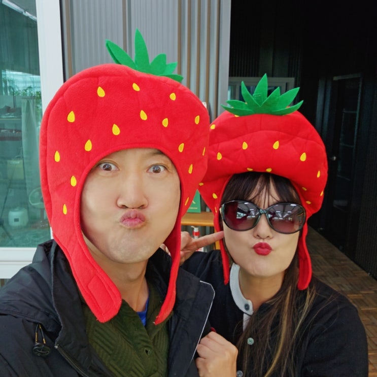 온전히팜 강릉 사천해변 인근 딸기체험농장 온전히팜 강릉 사천해변 인근 딸기체험농장