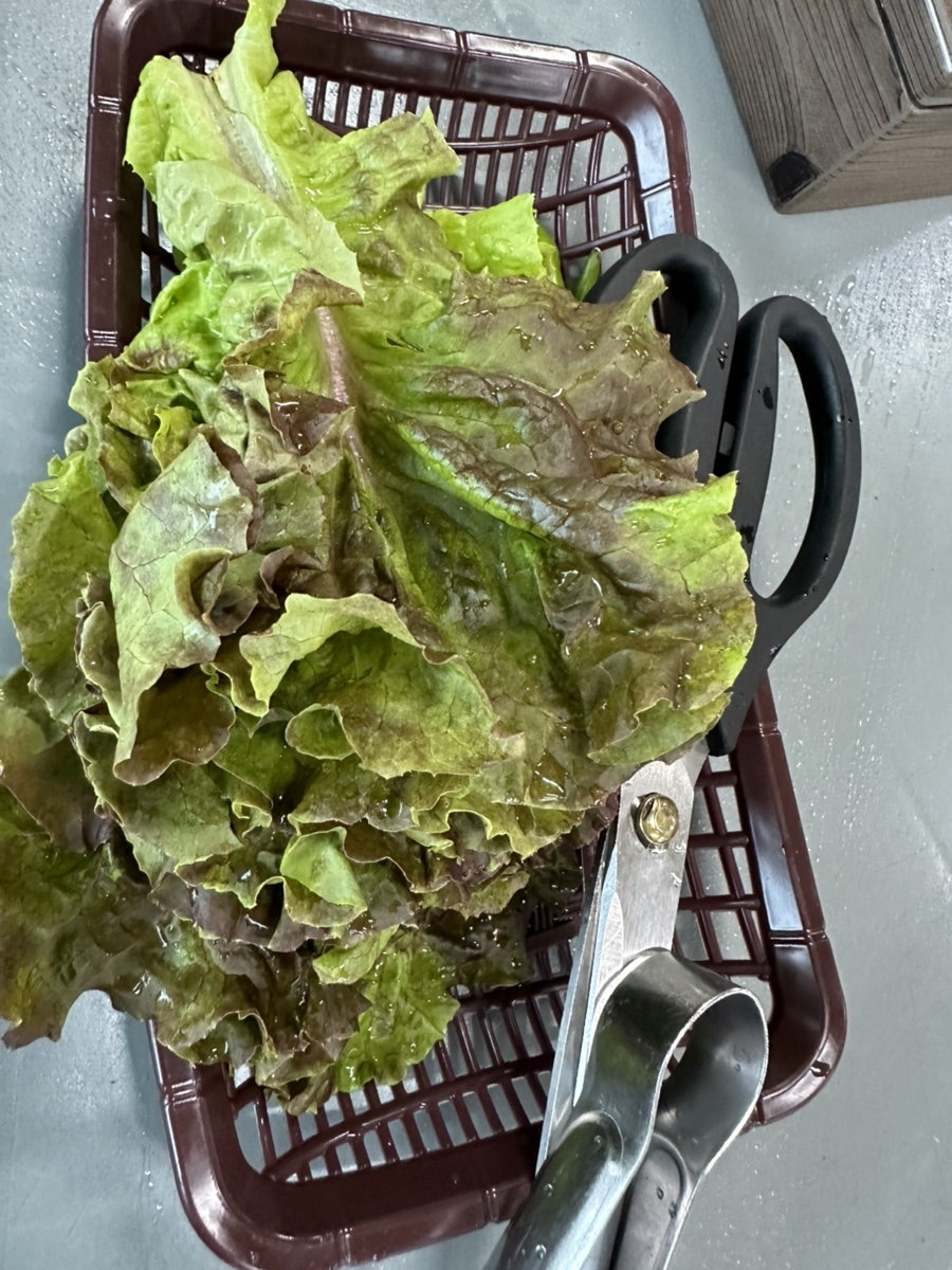 우리소정육식당 사진 5