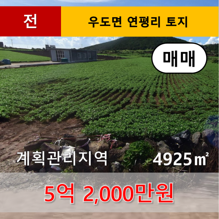  《제주도토지》 서귀포시 우도면 연평리 올레길 인근 토지 매매