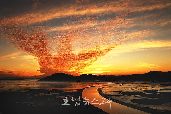  순천만습지, 전국 28개 생태관광지 중 ‘가장 방문하고 싶은 곳 1위’ 등극