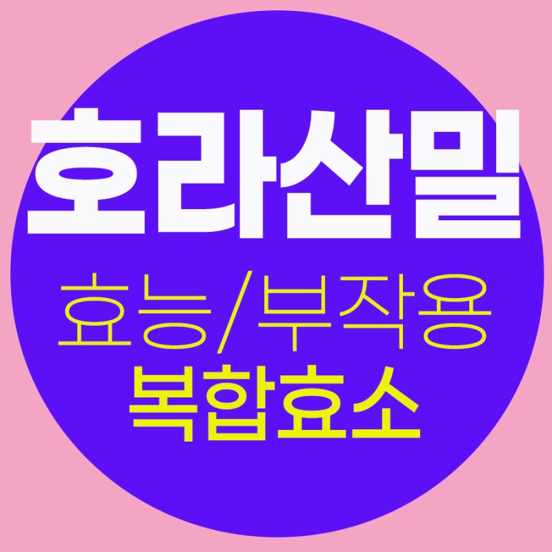 호라산밀 밥 먹는법 + 고대곡물 복합 효소 가루 분말 효능