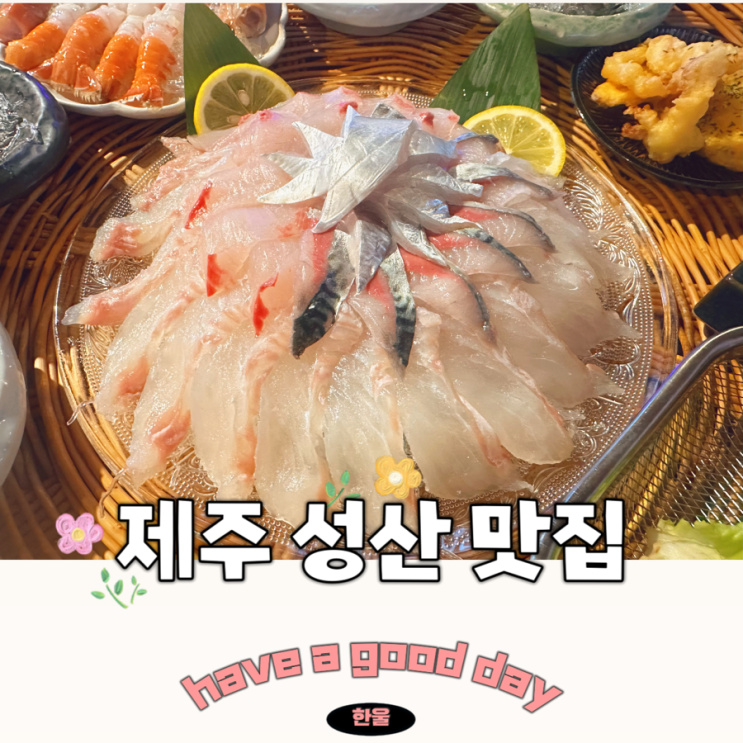  성산 맛집 피갈회옥 제주 현지인 찐맛집