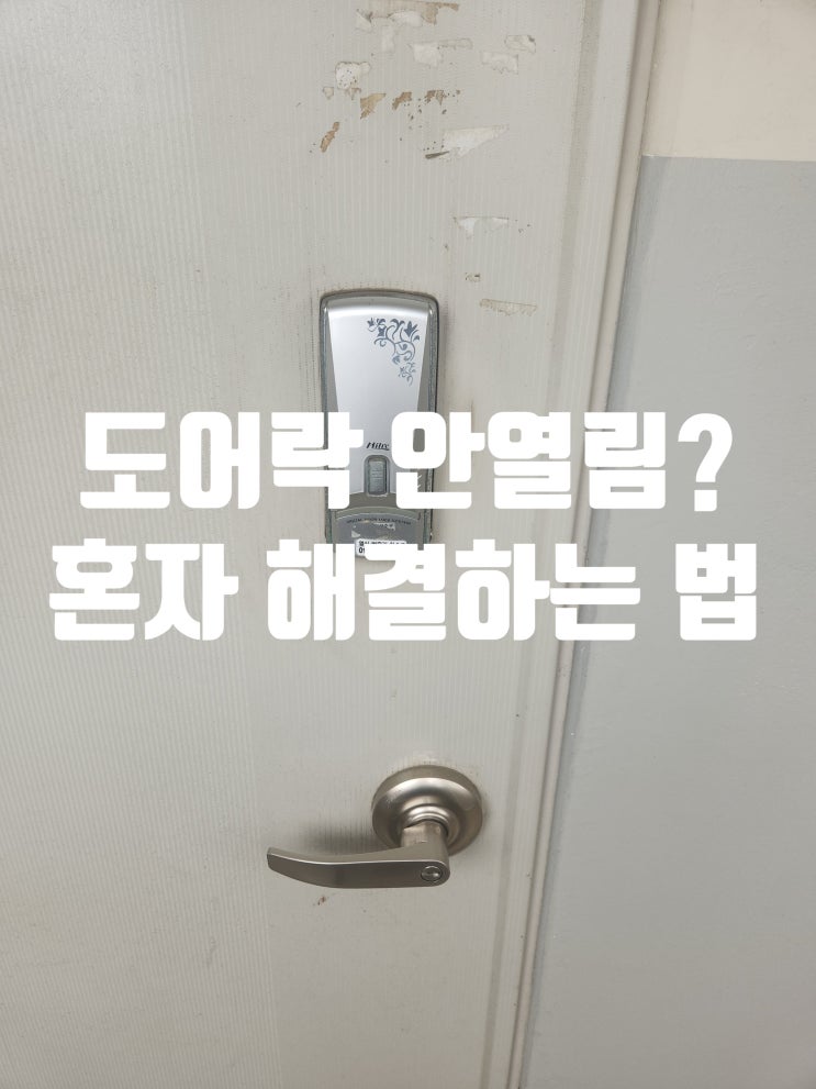  도어락 안열림 9v 건전지로 혼자 해결하는 법 김포 사우동열쇠