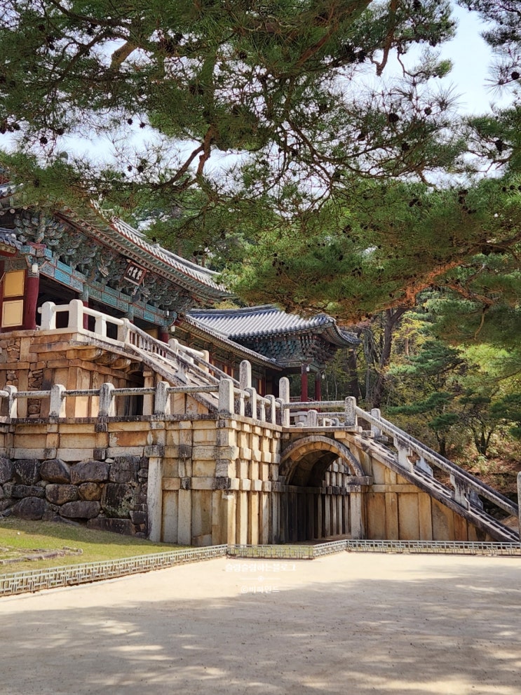  경주 가볼만한곳 _ 불국사, 극락전복돼지, 경주 최영화빵본점
