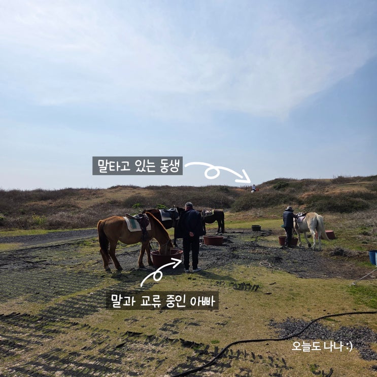  선녀와 용왕신 전설?! 제주 말타기 체험이 가능한 섭지코지 :)