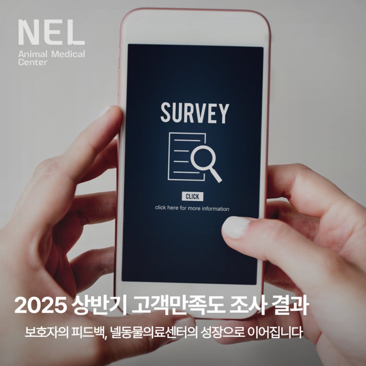  [소식] 2025 상반기 넬동물의료센터 고객 만족도조사 결과, 작은 의견에도 귀 기울이겠습니다