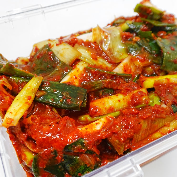  최상품 진도 대파로 만든 전라도 대파 김치 윤가네 추천
