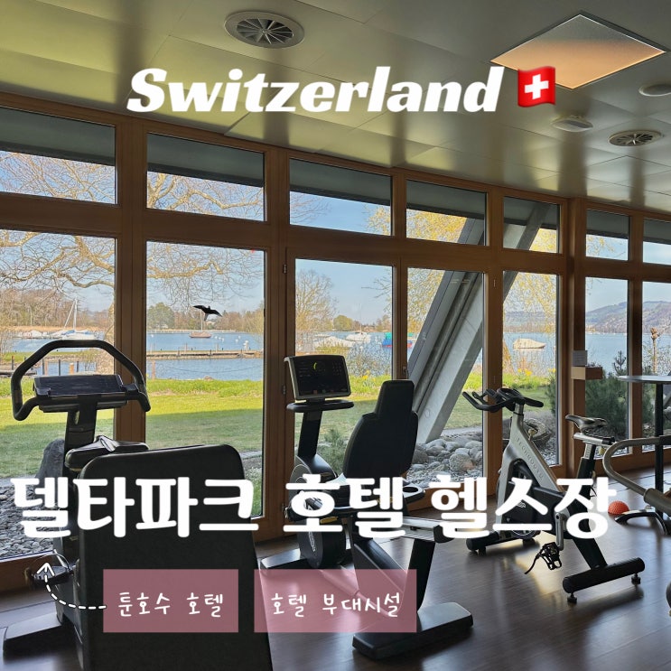  스위스 인터라켄 툰호수 신혼여행 숙소 - 델타파크 부대시설 헬스장 후기
