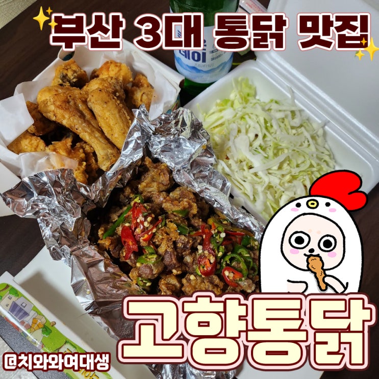  범내골 맛집 고향통닭 문현동 치킨 맛있는 술집