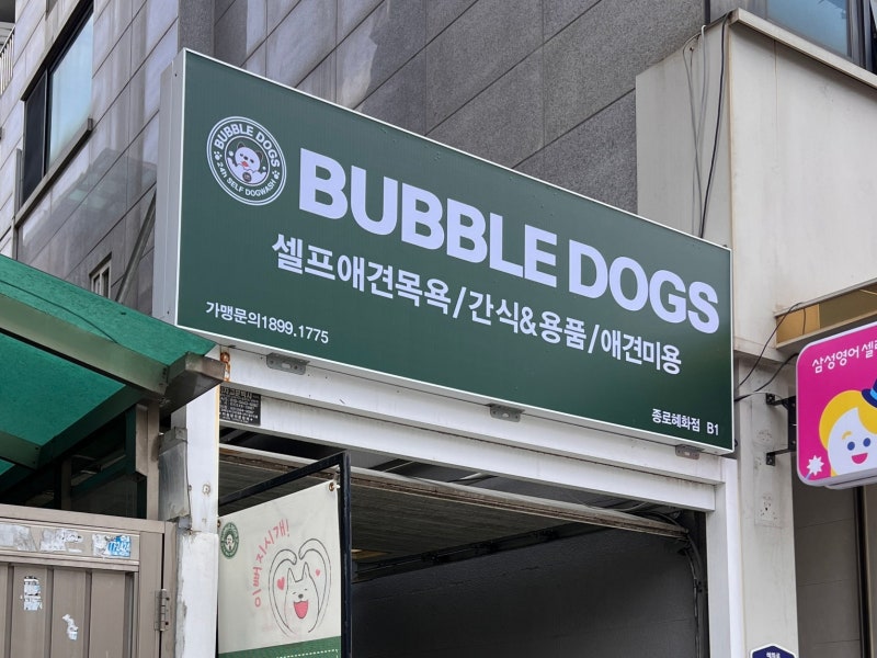 버블독스 종로혜화점