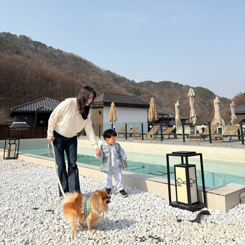 사진 4