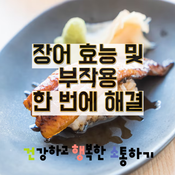  장어 효능 및 부작용 한 번에 해결