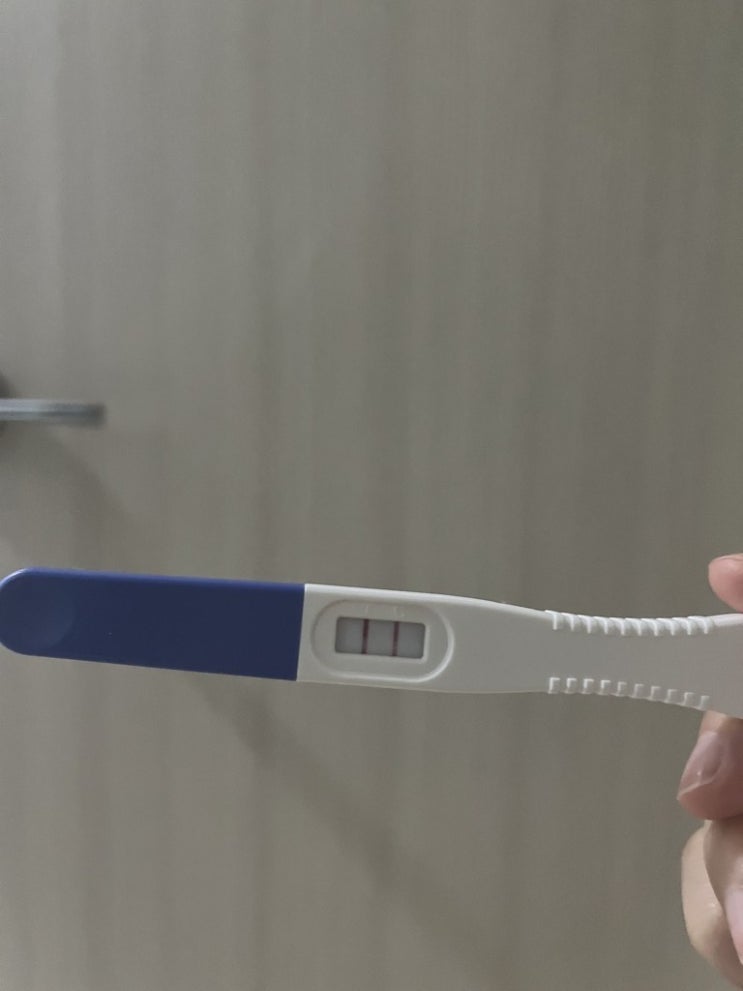  유산후 재임신, 유산후 첫생리까지 겪은 솔직 후기