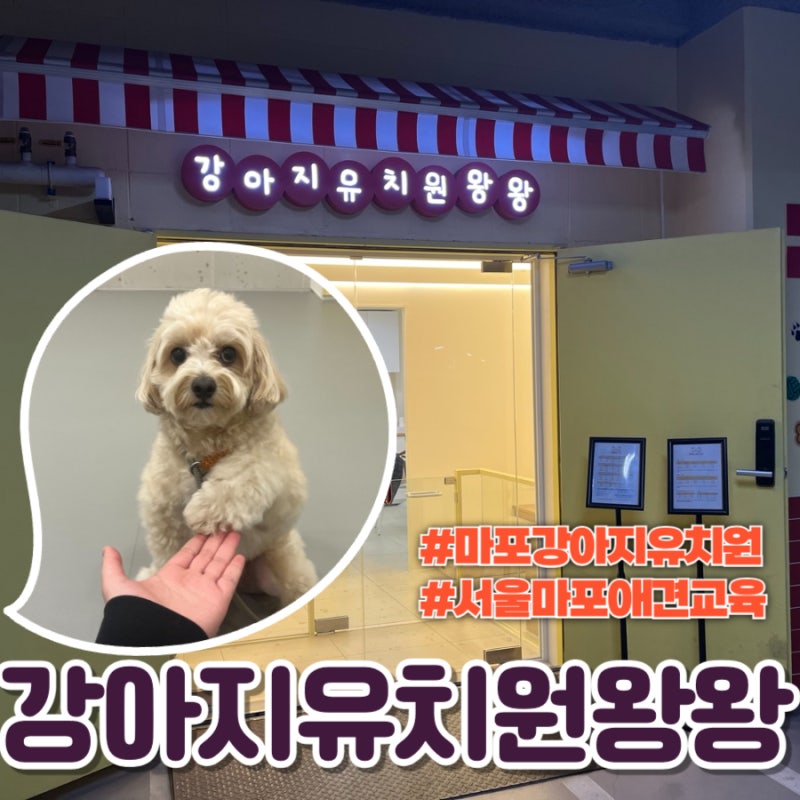 사진 4