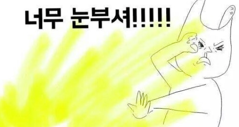 네일레브빈 사진 4