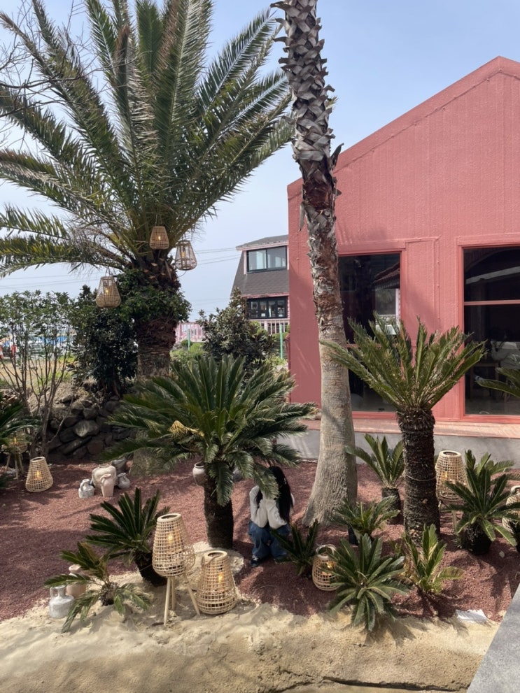 <b>제주도</b> 신상 애월 <b>카페</b> 오아시스80 주차정보 <b>미우새</b> <b>이동건</b> <b>카페</b>