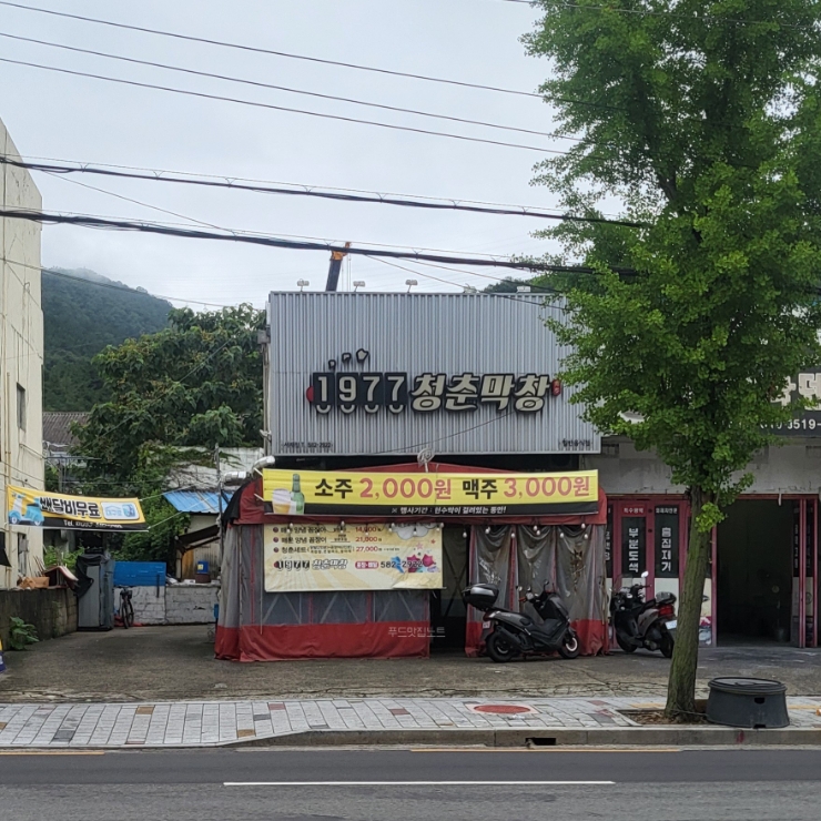 1977청춘막창 서재점 사진 2
