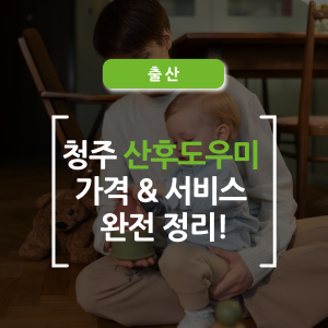  청주 산후도우미 완벽 가이드, 출산 후 꼭 알아야 할 정보!