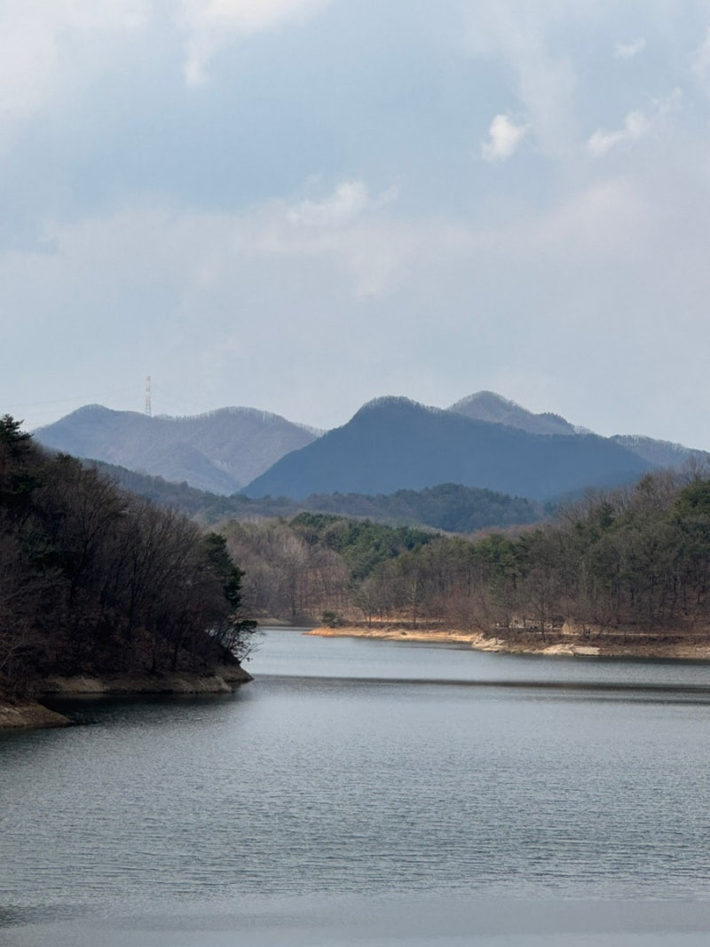 사진 4