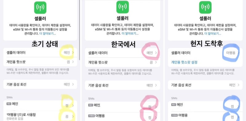 푸꾸옥 여행 로밍도깨비 이심 추천(아이폰 셀룰러 등록 방법)