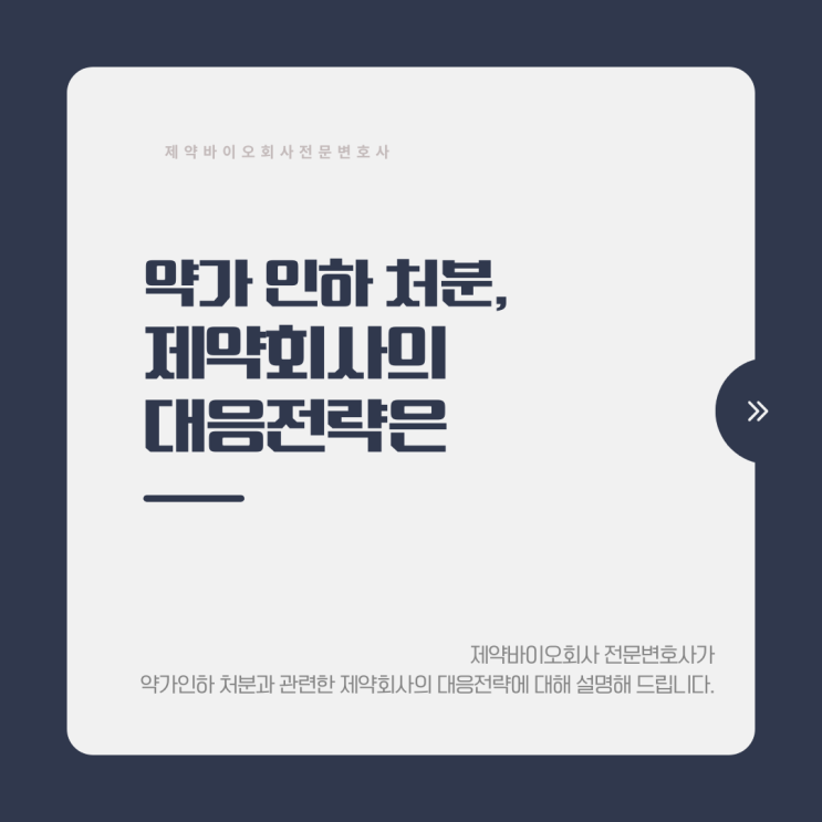  약가인하 처분, 제약회사의 대응 전략은