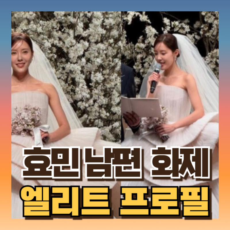 티아라 효민 남편신랑 정체 밝혀짐 프로필 화제