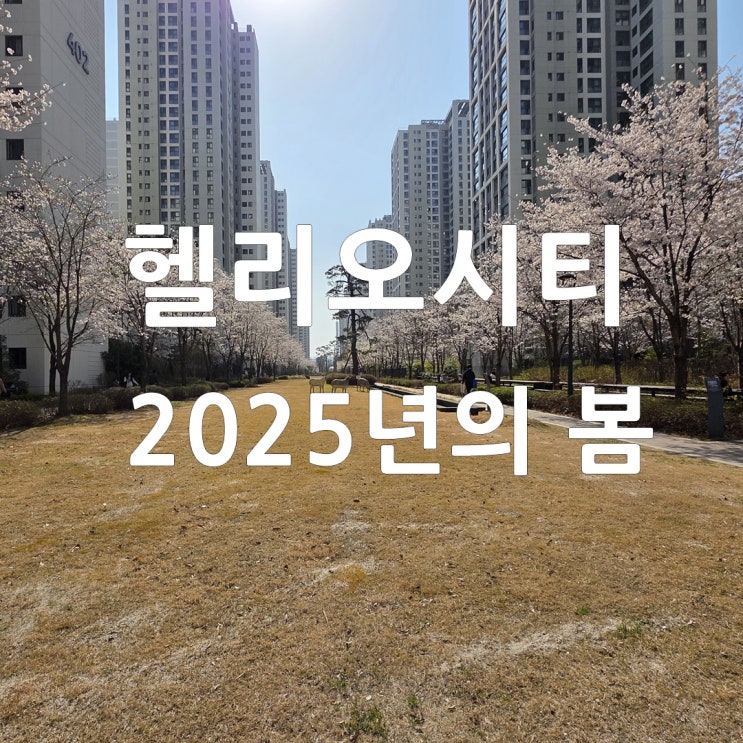  2025년 송파헬리오시티 봄!!