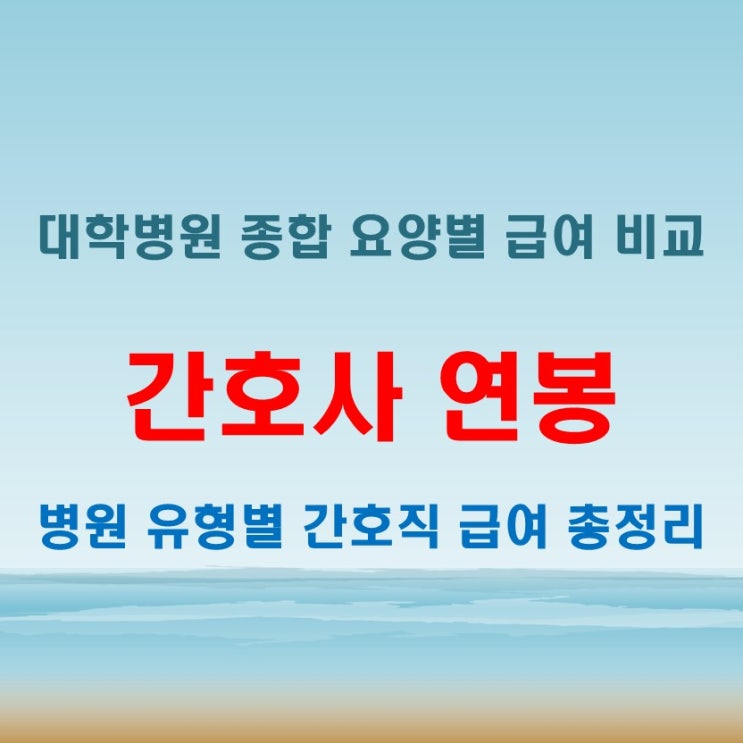  간호사 연봉 월급여 비교 (feat 대학병원 종합 요양