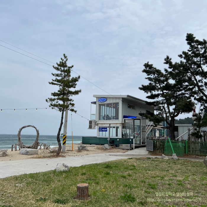 사진 8