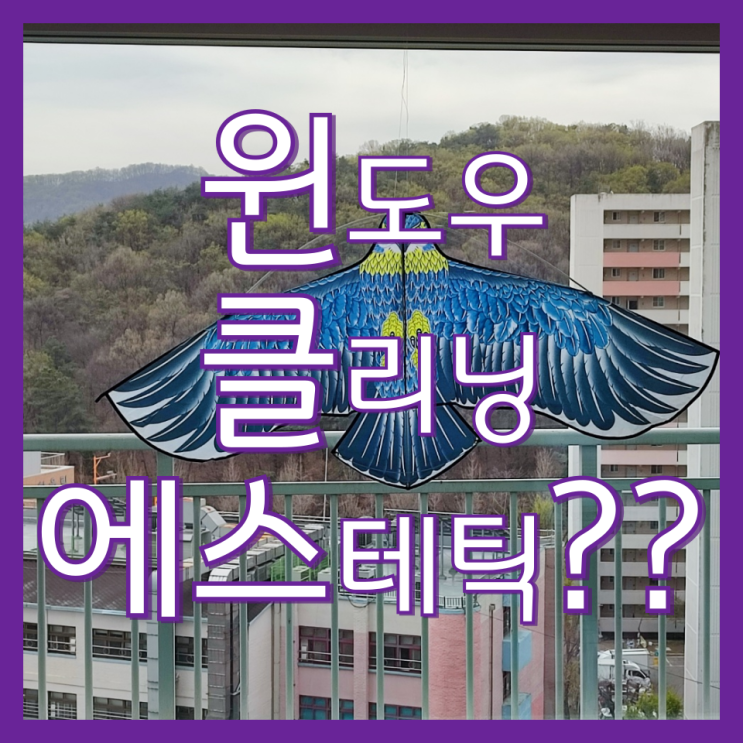  광명 베란다 창문 유리창 새똥 청소 업체 소개(e편한세상센트레빌)