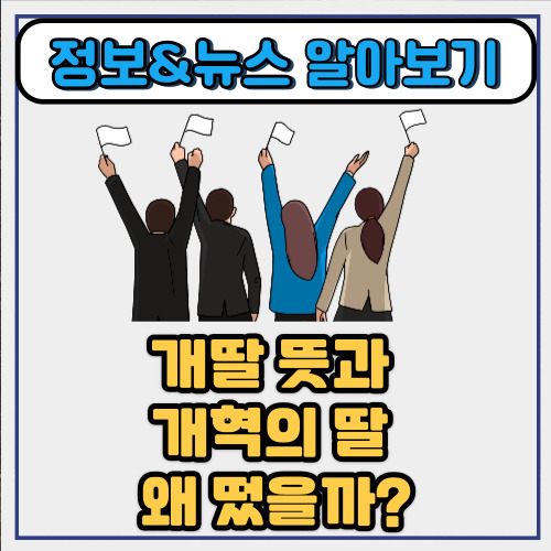  개딸 뜻과 개혁의 딸 왜 떴을까?