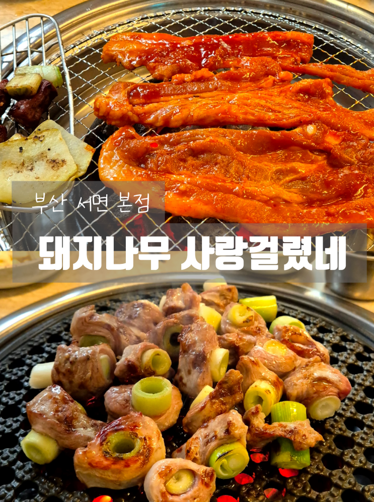  통대파 갈매기살, 고추장 삼겹살 맛집 '돼지나무 사랑걸렸네'