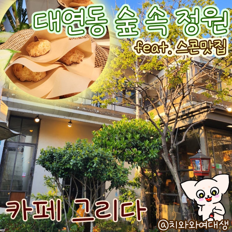  대연동카페 부경대 그리다 숨어있는 분위기 예쁜 스콘맛집