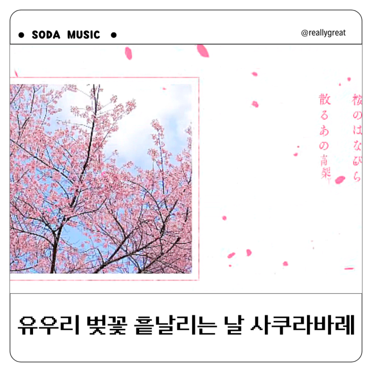  유우리 벚꽃맑음 Sakurabare 사쿠라바레 듀엣곡