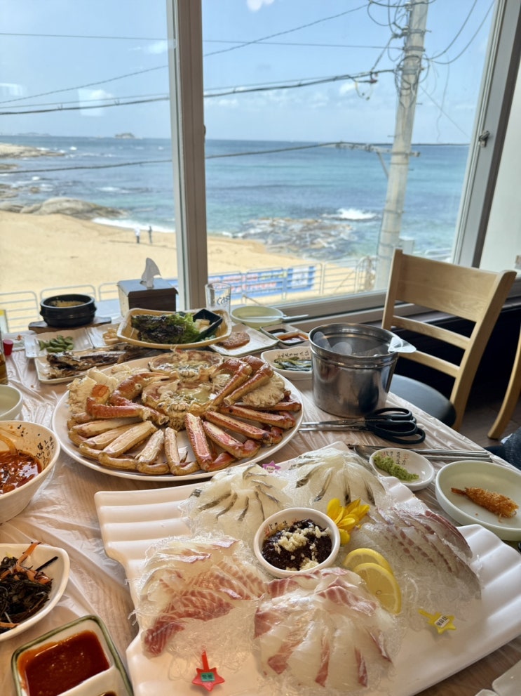  속초 오대양 횟집 내돈내산 대게 맛집 추천 (오션뷰 횟집)