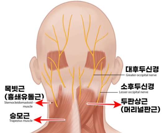 편두통 심할때 마사지 하는 방법