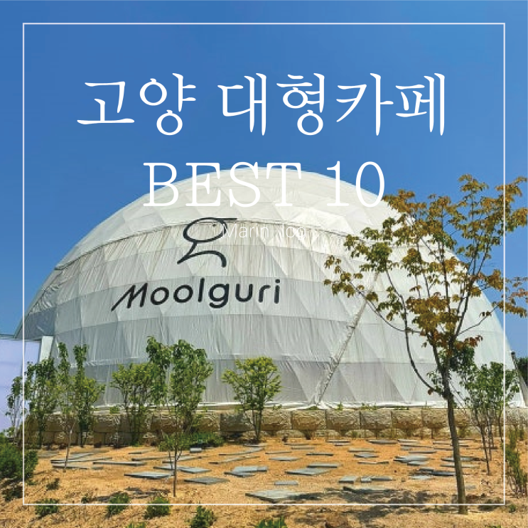  고양시 대형카페 내돈내산 Best10 리스트