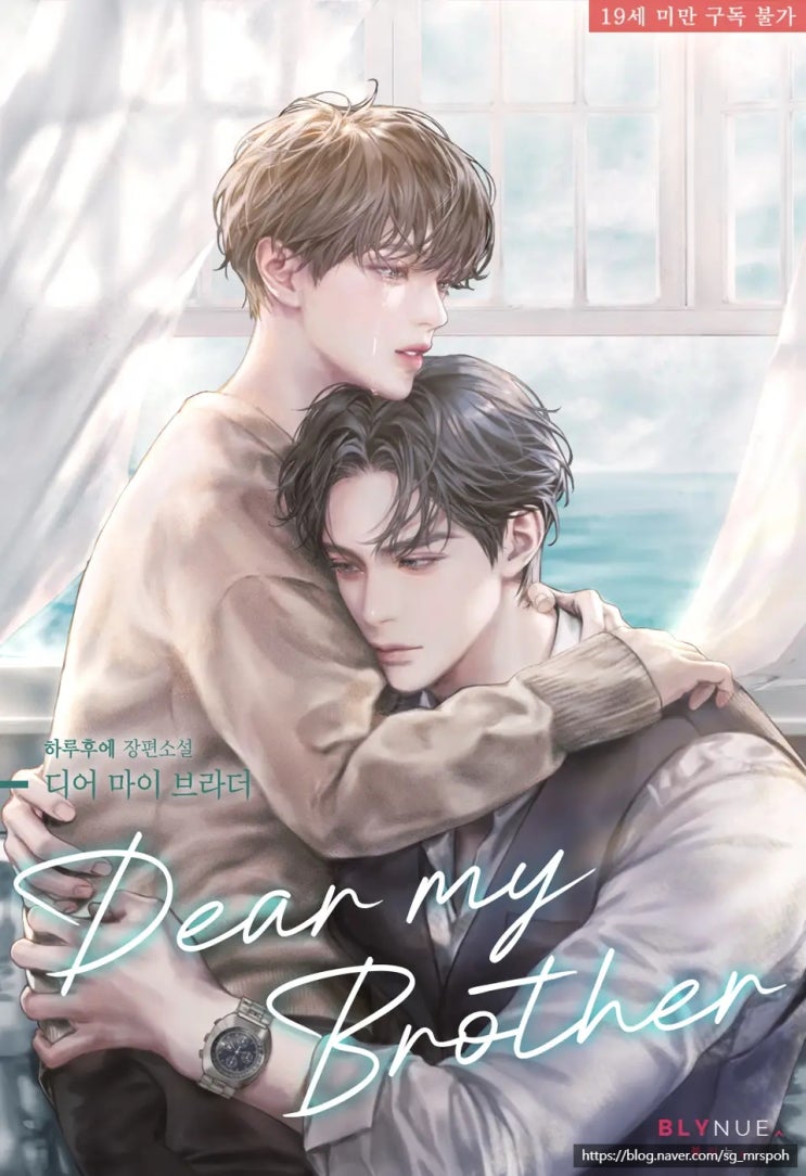  BL 소설 추천 13. '디어 마이 브라더' – 집착, 후회공 X 자낮, 굴림수, 피할 수 없는 금단 로맨스