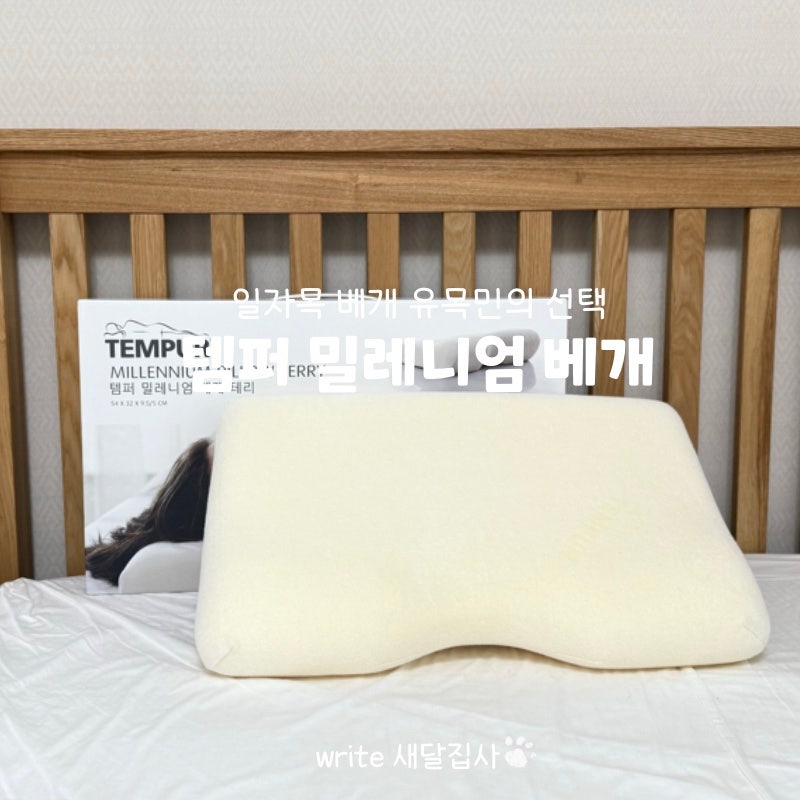 코스트코 템퍼 밀레니엄 베개 일자목 구매 후기