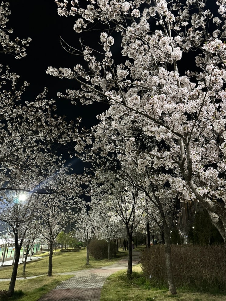  4/16 수요일 밤산책