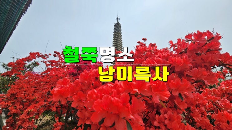 전라도 4월 꼭 가볼만한곳 · 전국 3대 명소 강진 남미륵사 철쭉 개화시기 실시간 개화상황 전라도 4월 꼭 가볼만한곳 · 전국 3대 명소 강진 남미륵사 철쭉 개화시기 실시간 개화상황