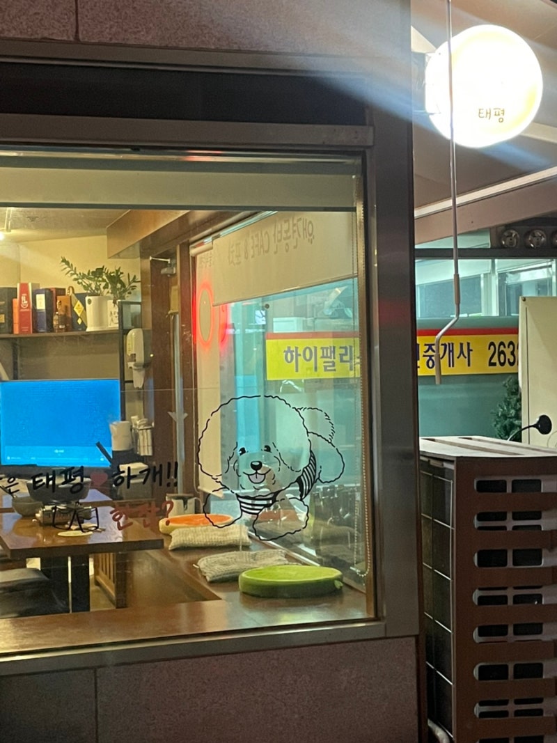 사진 5
