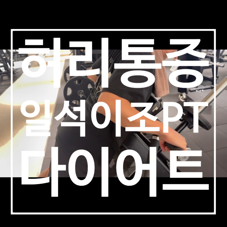  덕이동 헬스장 레디바디 탄현점 pt후기 | 허리통증 개선과 다이어트 두마리 토끼 잡기